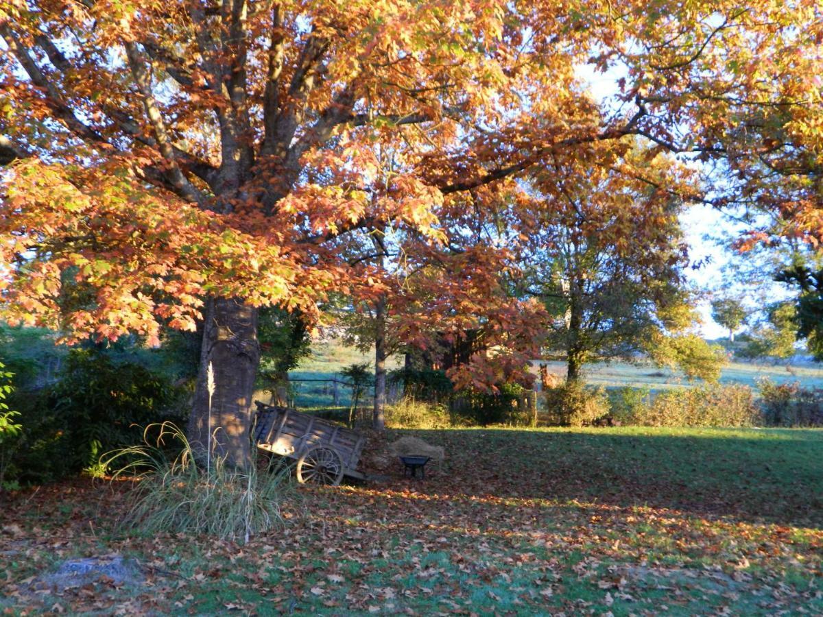 Centre De Bien-Etre Et Ses Chambres D'Hote Villeneuve-de-Riviere Bagian luar foto